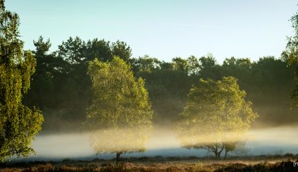 Wahner Heide